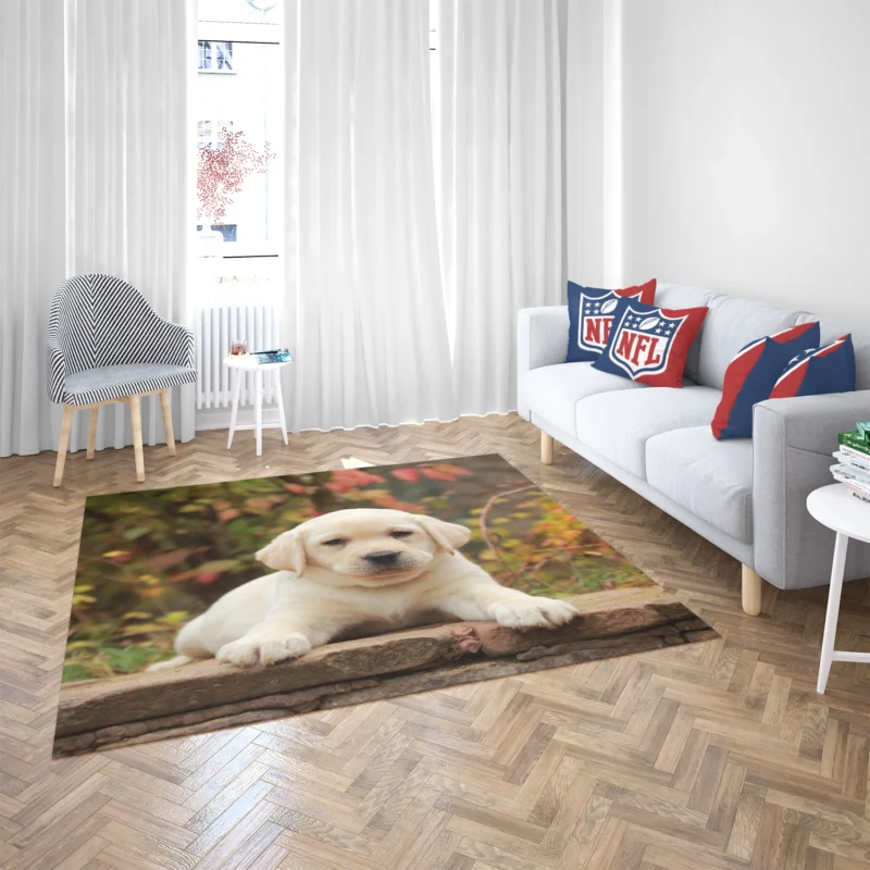 Depth of Canine Cuteness: Labrador Puppy Quartet Floor Rug 2