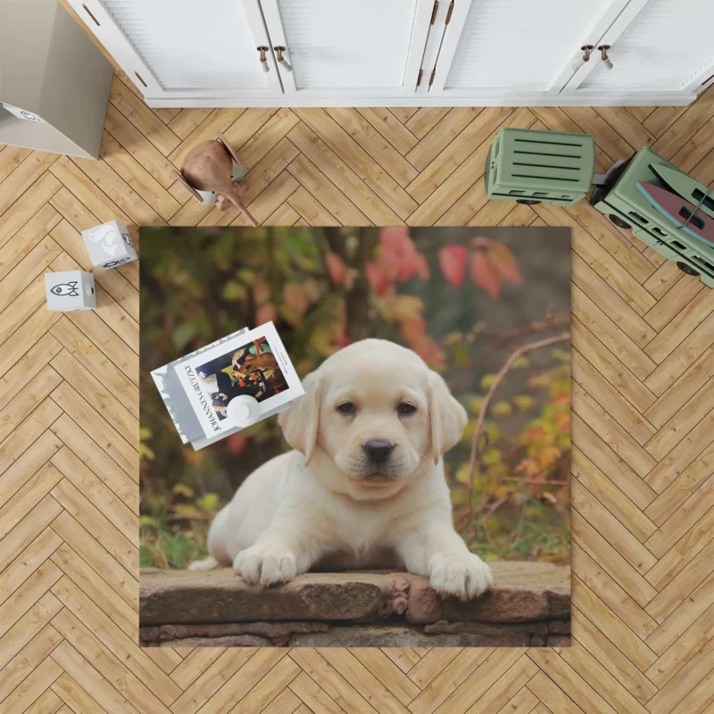 Depth of Canine Cuteness: Labrador Puppy Quartet Floor Rug