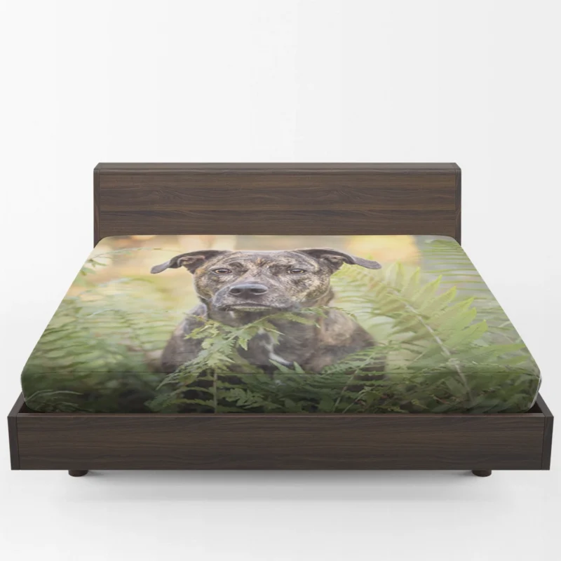 Depth of Fern Stares: Bull Terrier Quartet Fitted Sheet 1