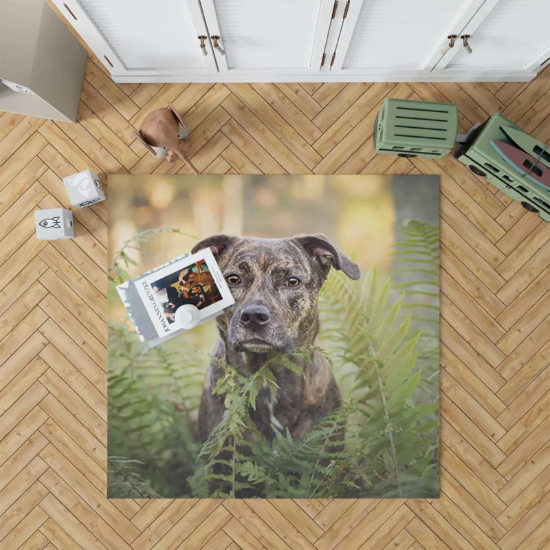 Depth of Fern Stares: Bull Terrier Quartet Floor Rug