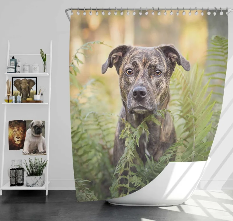 Depth of Fern Stares: Bull Terrier Quartet Shower Curtain