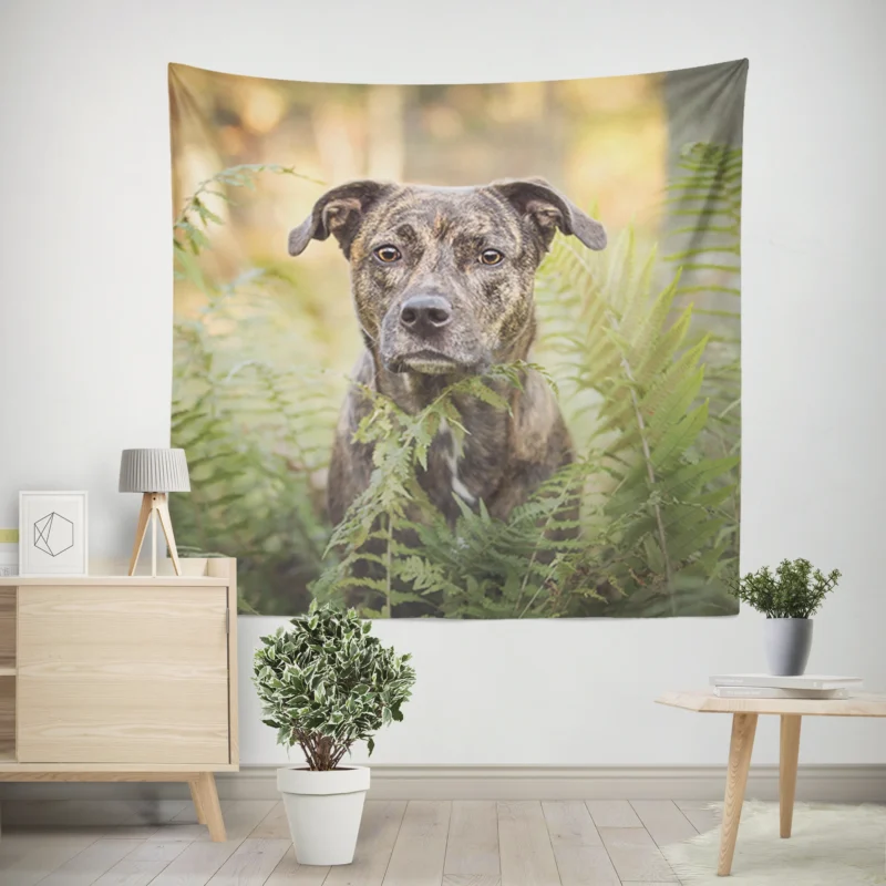 Depth of Fern Stares  Bull Terrier Quartet Wall Tapestry