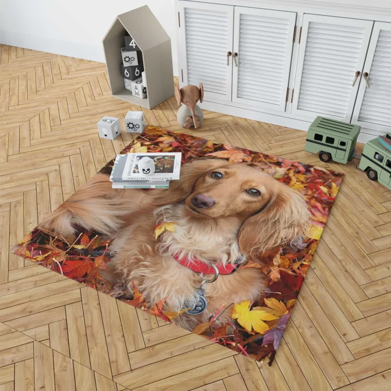 Depth of Field Autumn Leaves: Dachshund Quartet Floor Rug 1