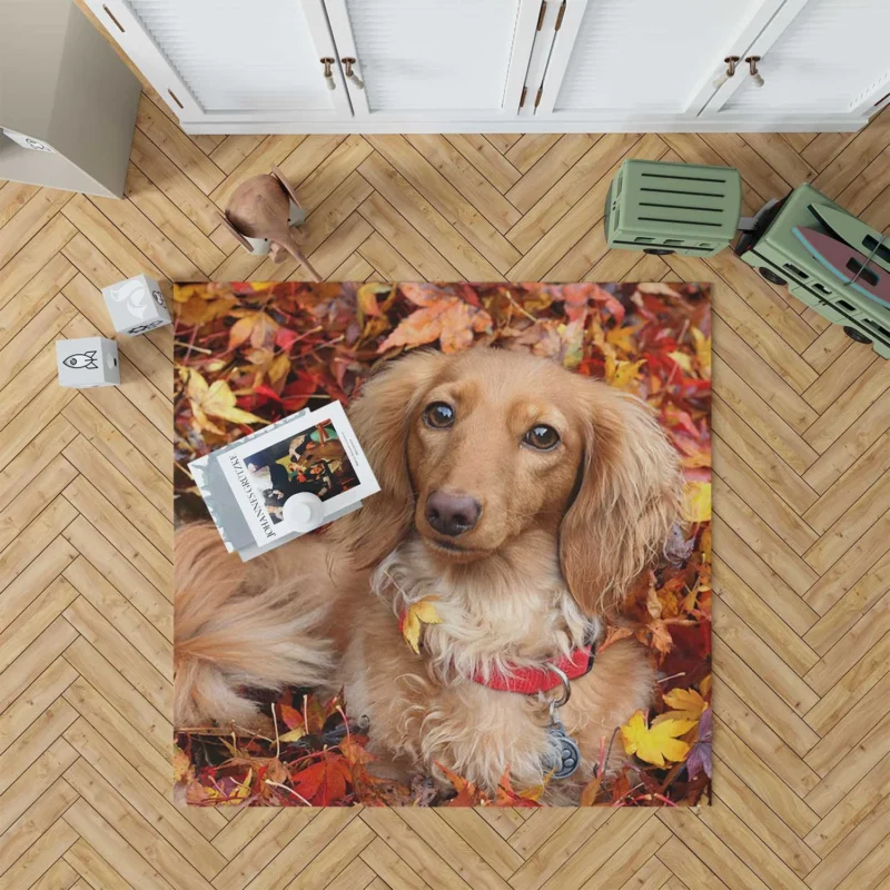 Depth of Field Autumn Leaves: Dachshund Quartet Floor Rug