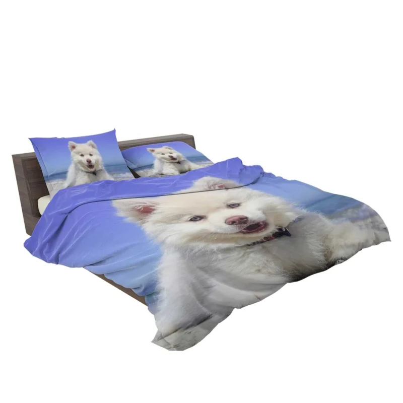 Puppy: Samoyed Quartet Bedding Set