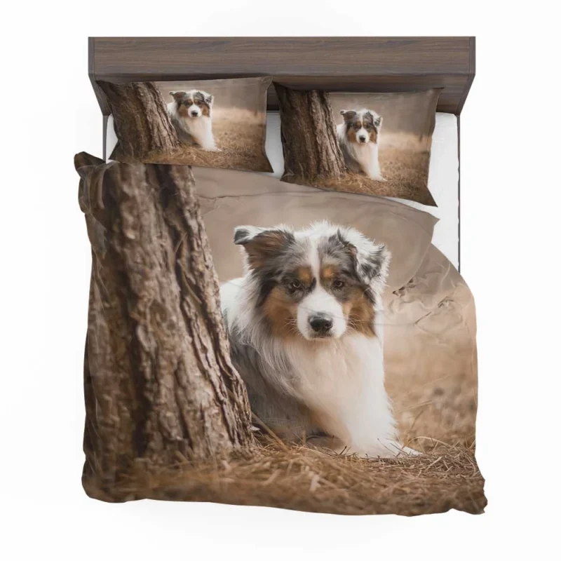 Depth of Field Beauty: Australian Shepherd Bedding Set 1