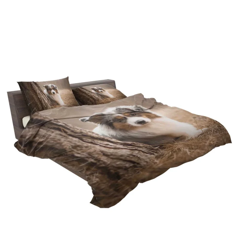 Depth of Field Beauty: Australian Shepherd Bedding Set 2