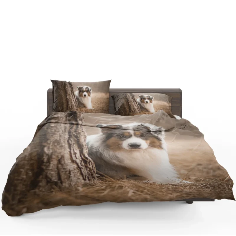 Depth of Field Beauty: Australian Shepherd Bedding Set