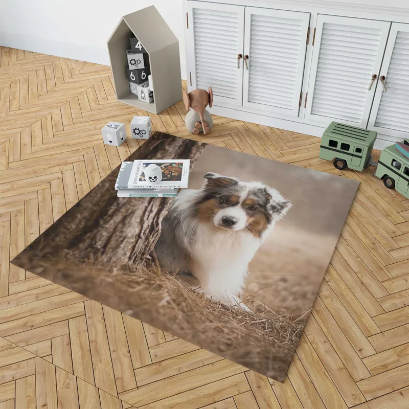 Depth of Field Beauty: Australian Shepherd Floor Rug 1