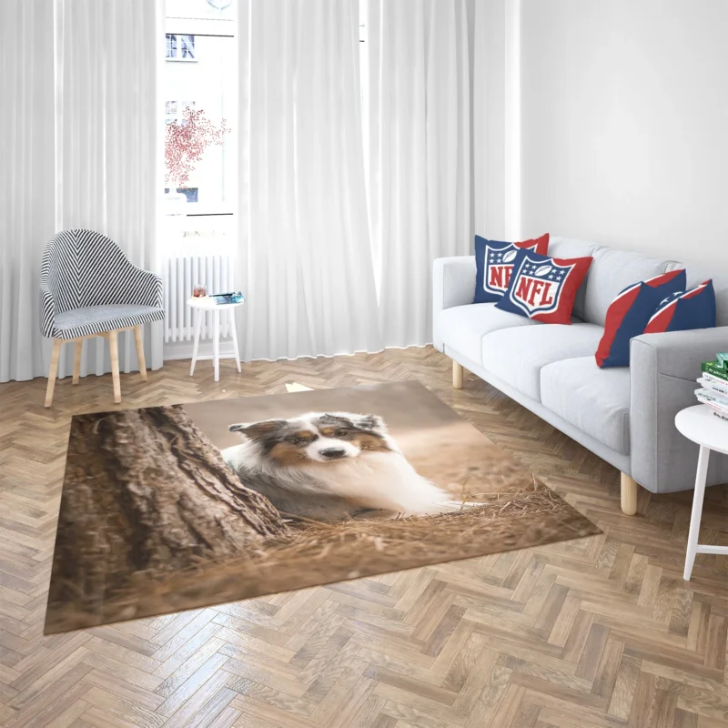 Depth of Field Beauty: Australian Shepherd Floor Rug 2