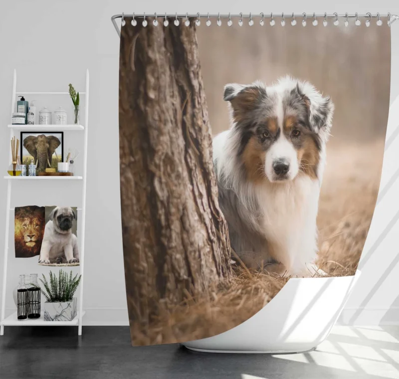 Depth of Field Beauty: Australian Shepherd Shower Curtain