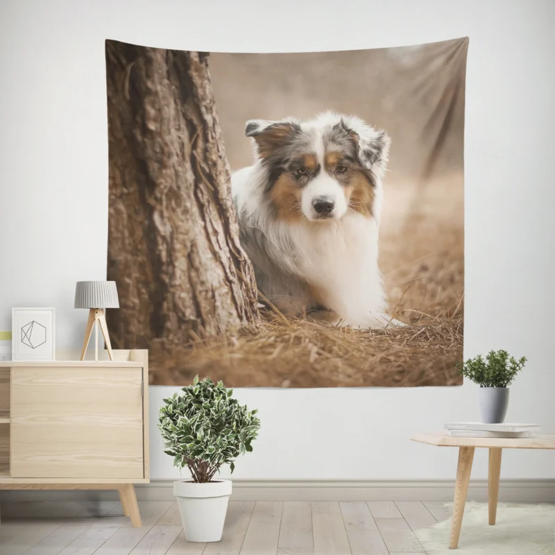 Depth of Field Beauty  Australian Shepherd Wall Tapestry