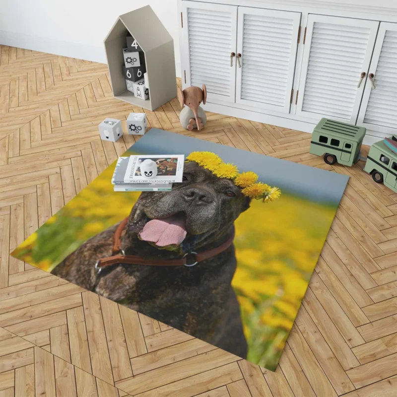 Depth of Field Beauty: Cane Corso Quartet Floor Rug 1