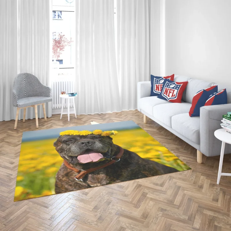 Depth of Field Beauty: Cane Corso Quartet Floor Rug 2