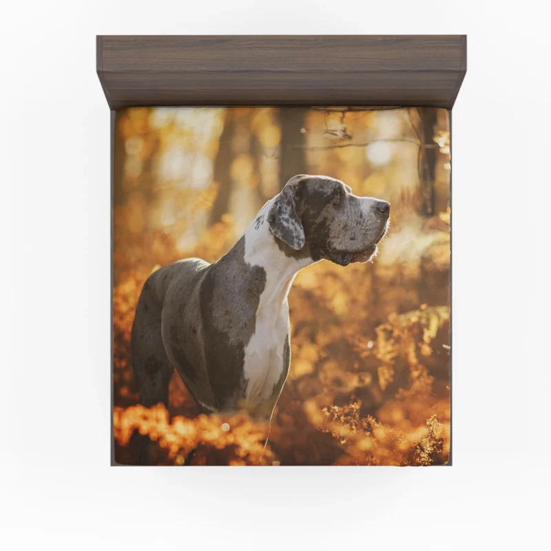 Depth of Field Beauty: Great Danes in Fall Fitted Sheet