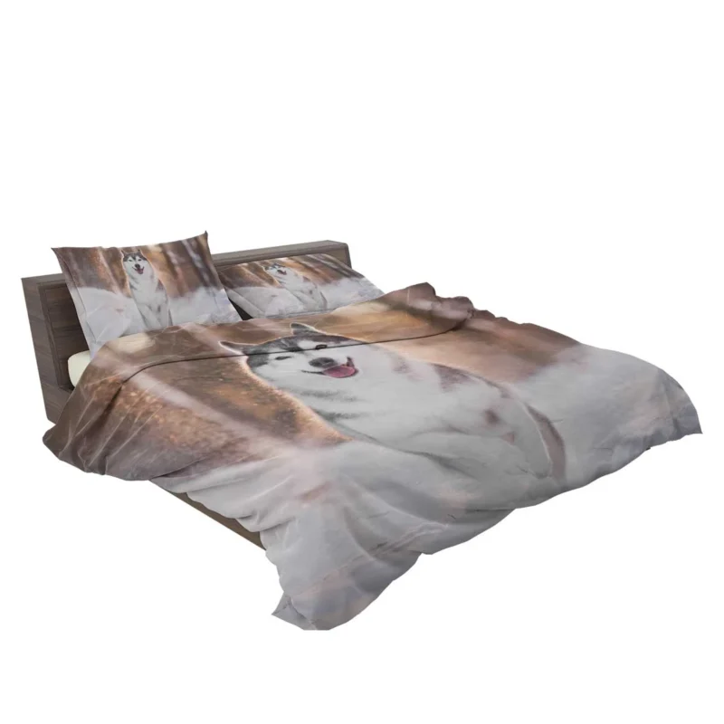 Depth of Field Beauty: Husky Winter Snow Bedding Set 2