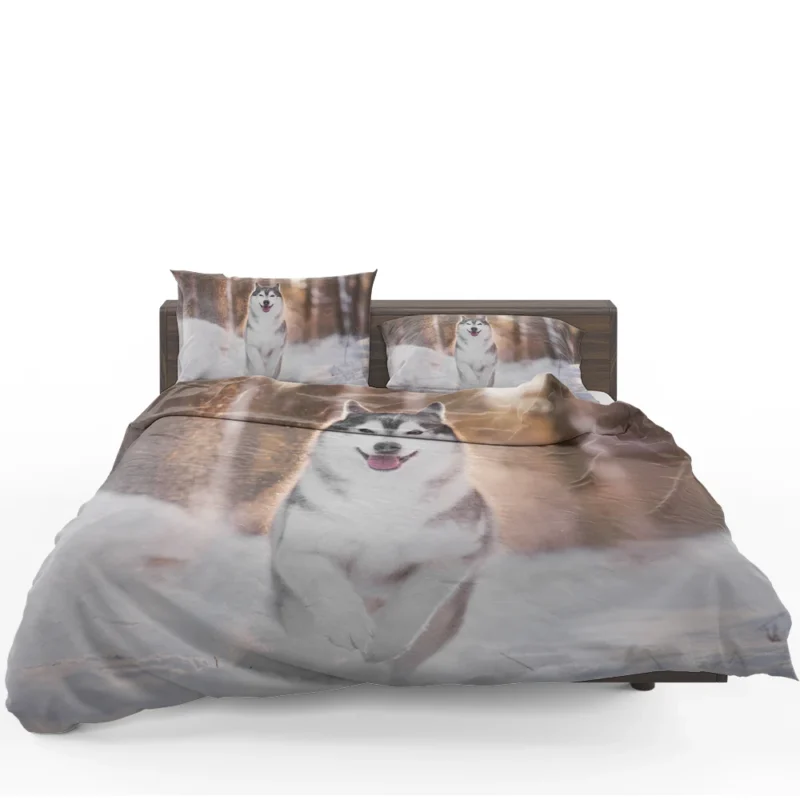 Depth of Field Beauty: Husky Winter Snow Bedding Set