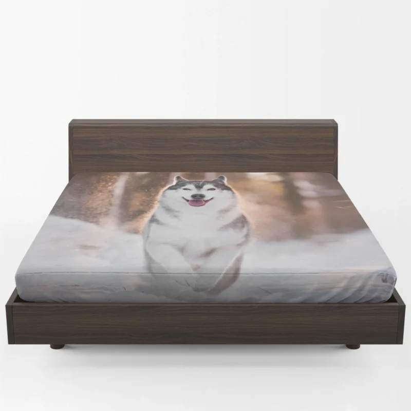 Depth of Field Beauty: Husky Winter Snow Fitted Sheet 1