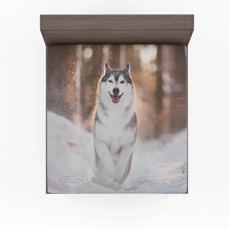 Depth of Field Beauty: Husky Winter Snow Fitted Sheet