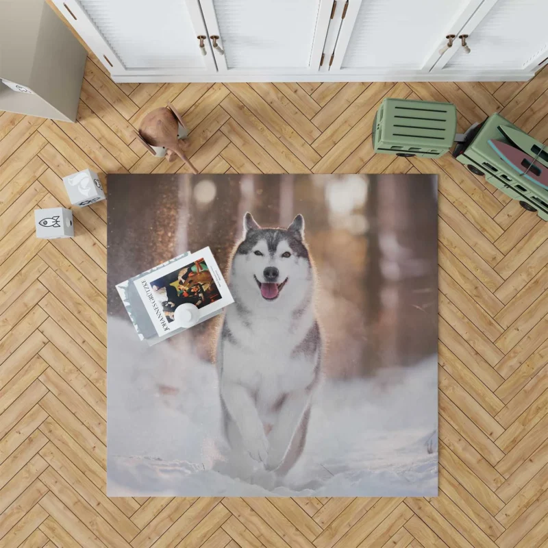 Depth of Field Beauty: Husky Winter Snow Floor Rug