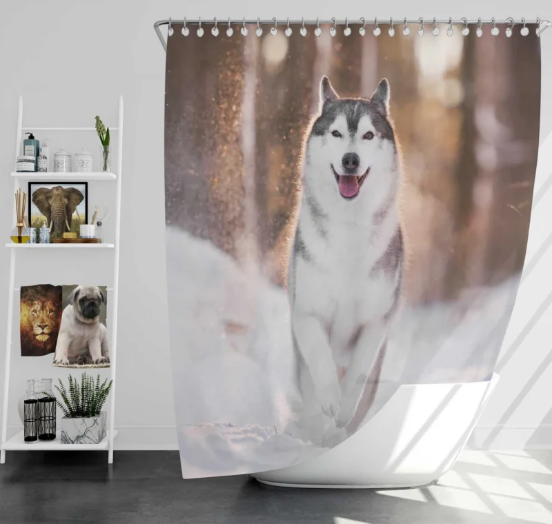 Depth of Field Beauty: Husky Winter Snow Shower Curtain