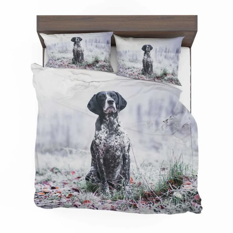 Depth of Field Beauty: Pointer Quartet Bedding Set 1