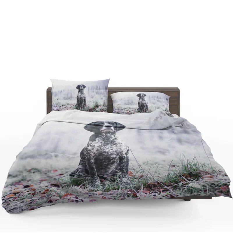 Depth of Field Beauty: Pointer Quartet Bedding Set