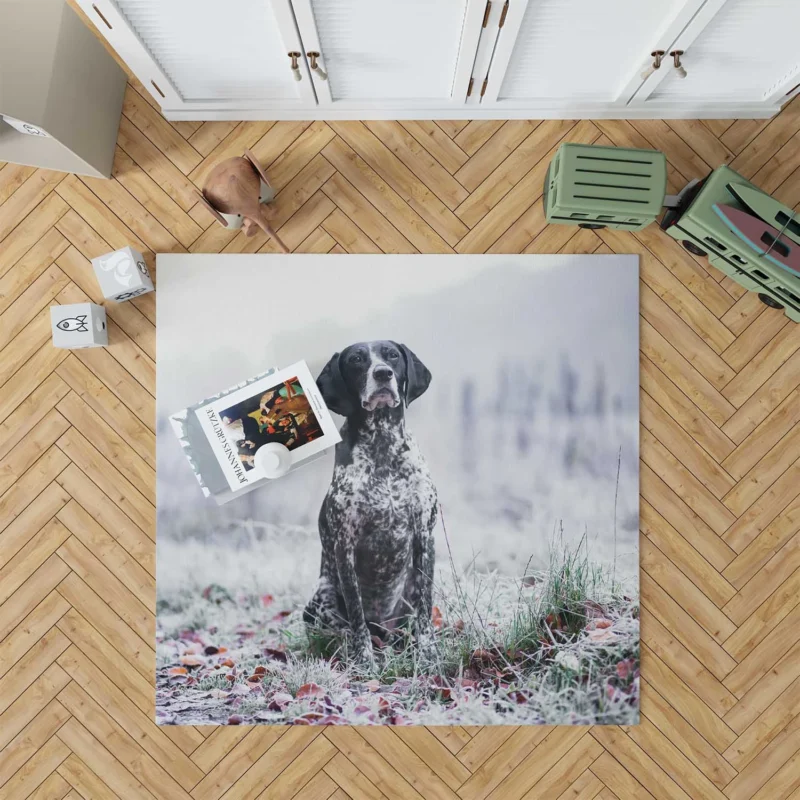 Depth of Field Beauty: Pointer Quartet Floor Rug