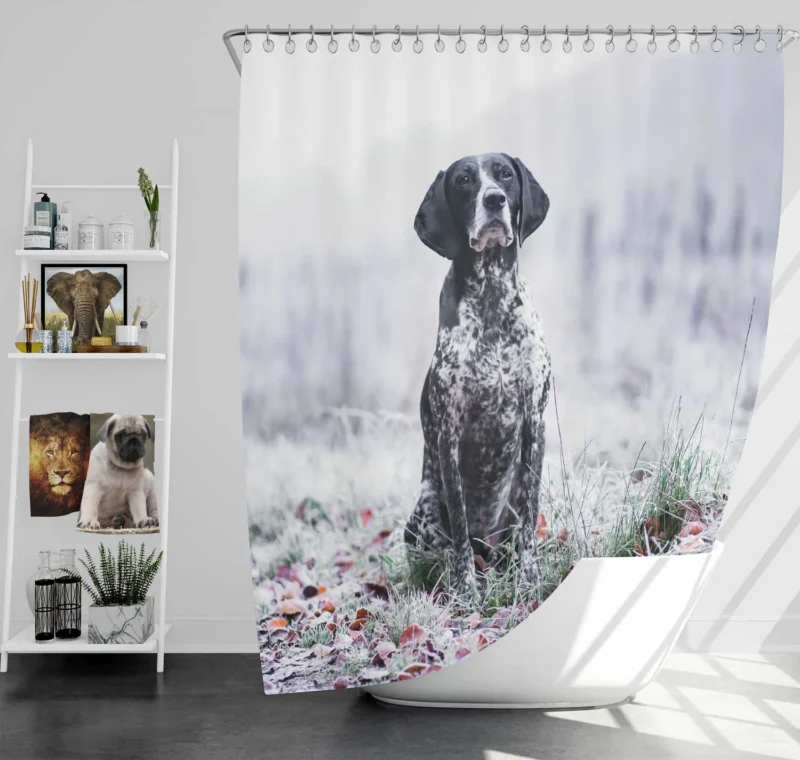 Depth of Field Beauty: Pointer Quartet Shower Curtain