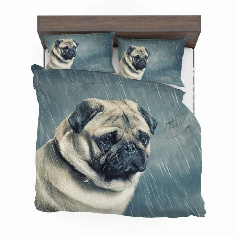 Depth of Field Beauty: Pug Quartet Bedding Set 1