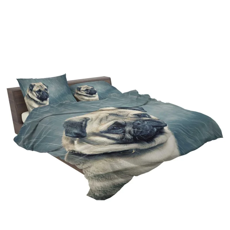 Depth of Field Beauty: Pug Quartet Bedding Set 2