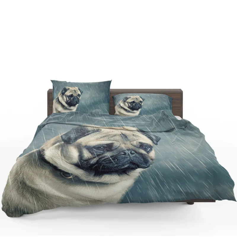 Depth of Field Beauty: Pug Quartet Bedding Set