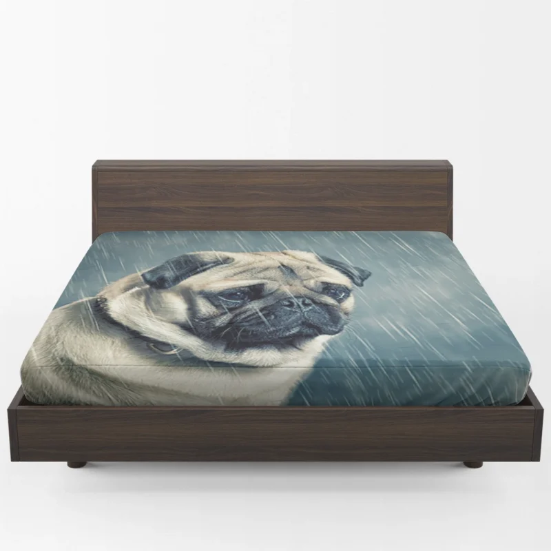 Depth of Field Beauty: Pug Quartet Fitted Sheet 1