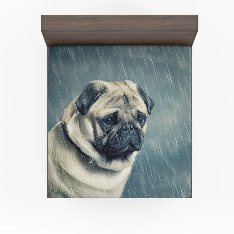 Depth of Field Beauty: Pug Quartet Fitted Sheet