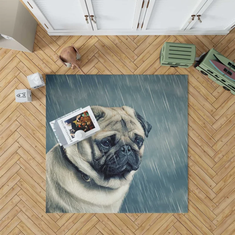 Depth of Field Beauty: Pug Quartet Floor Rug