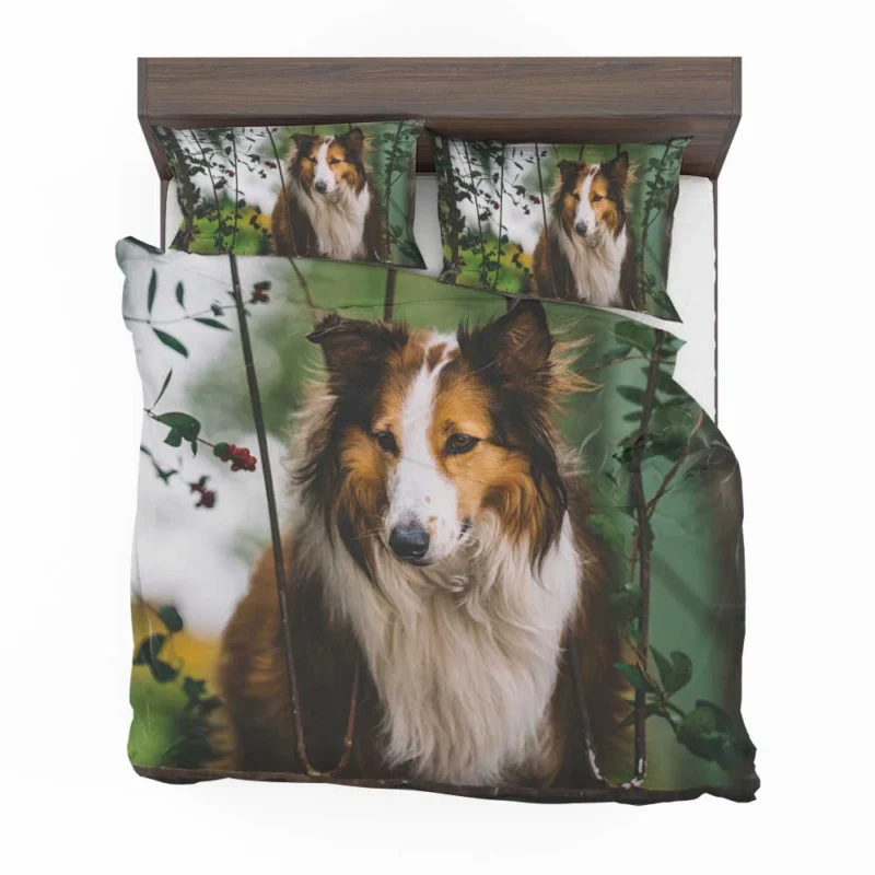 Depth of Field Beauty: Rough Collie Quartet Bedding Set 1