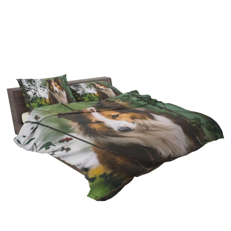 Depth of Field Beauty: Rough Collie Quartet Bedding Set 2