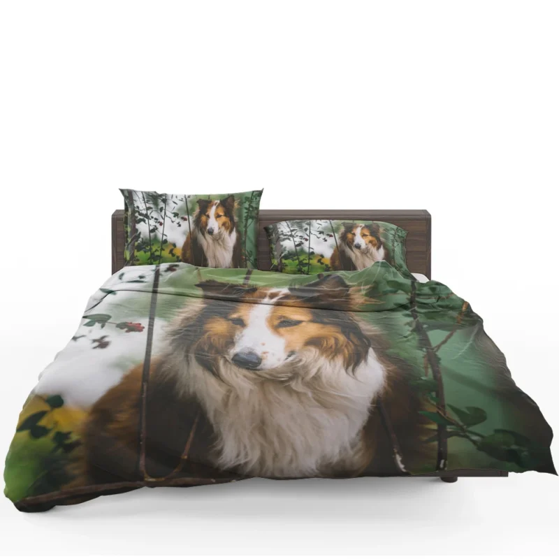 Depth of Field Beauty: Rough Collie Quartet Bedding Set