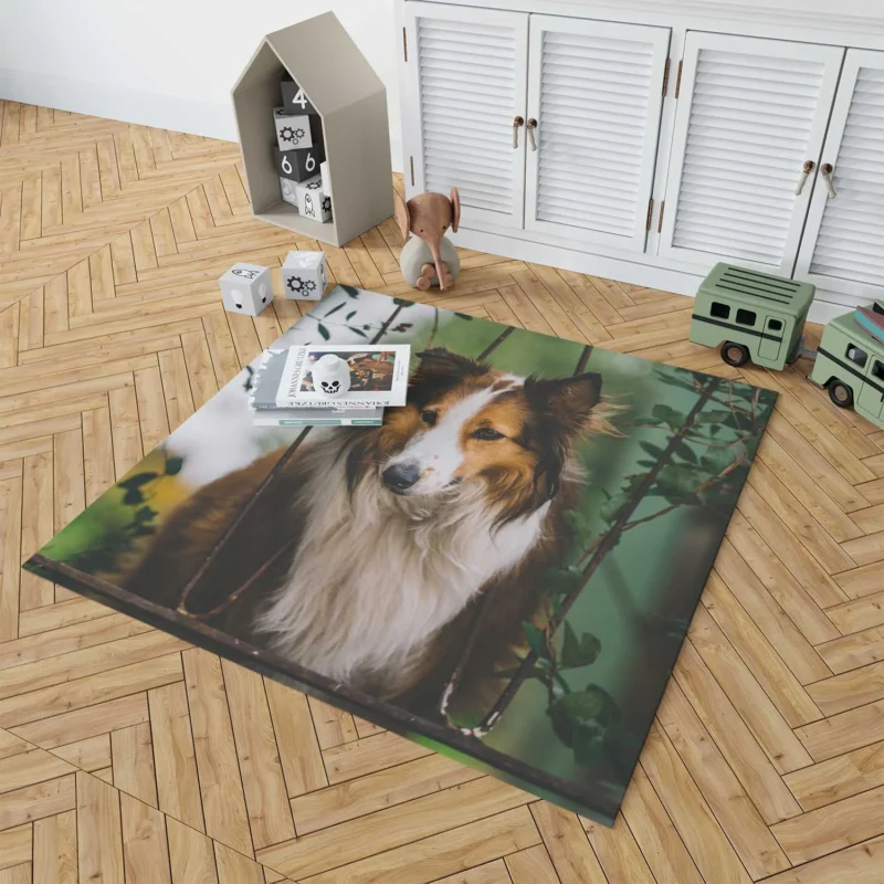 Depth of Field Beauty: Rough Collie Quartet Floor Rug 1