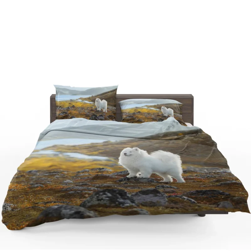 Depth of Field Beauty: Samoyed Quartet Bedding Set