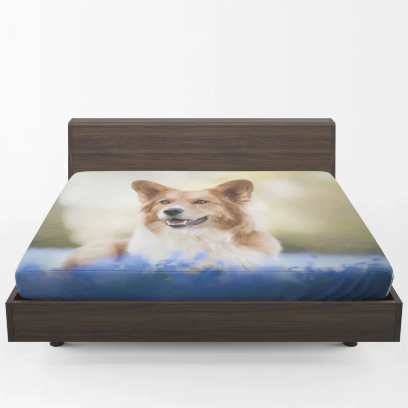 Depth of Field Blue Corgi Quartet Fitted Sheet 1