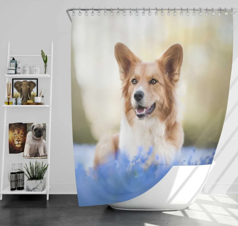 Depth of Field Blue Corgi Quartet Shower Curtain