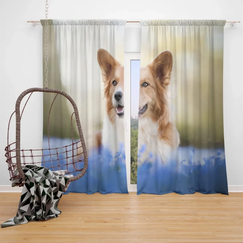 Depth of Field Blue Corgi Quartet Window Curtain