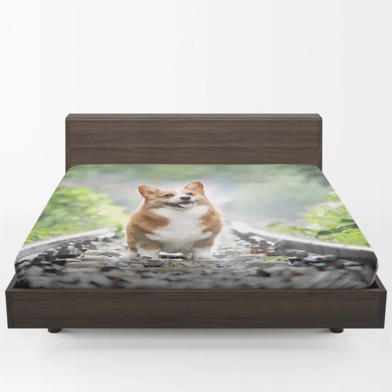 Depth of Field Corgi Quartet Fitted Sheet 1