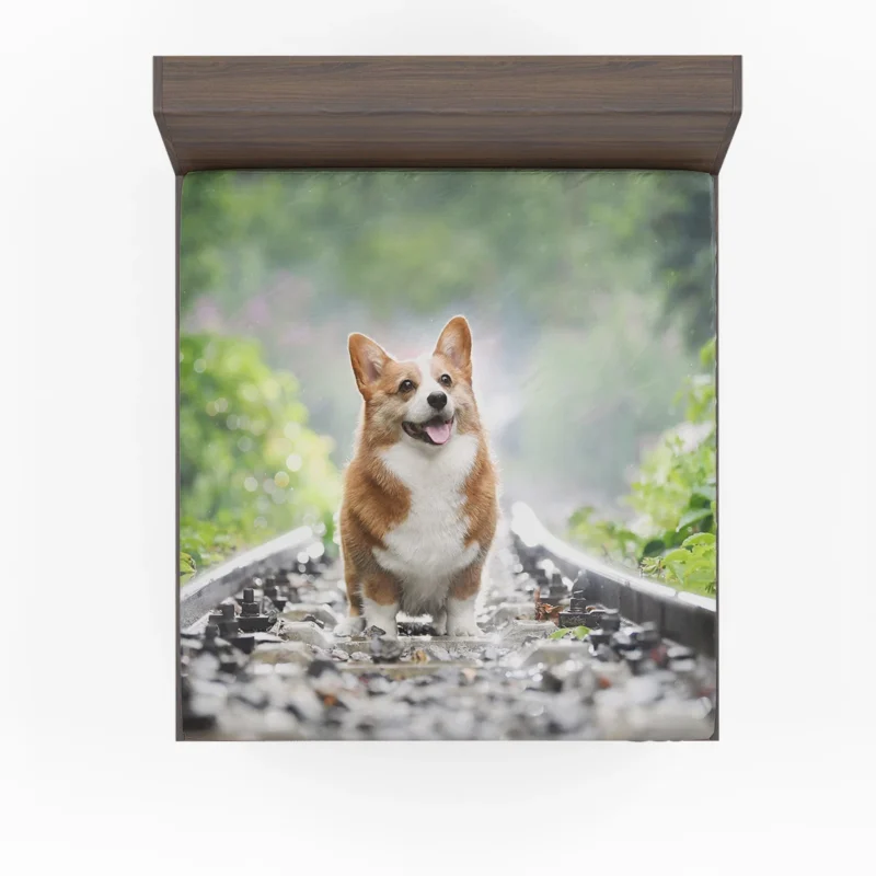 Depth of Field Corgi Quartet Fitted Sheet