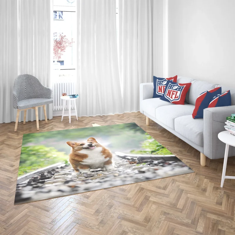 Depth of Field Corgi Quartet Floor Rug 2