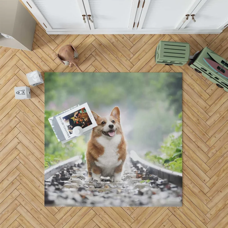 Depth of Field Corgi Quartet Floor Rug