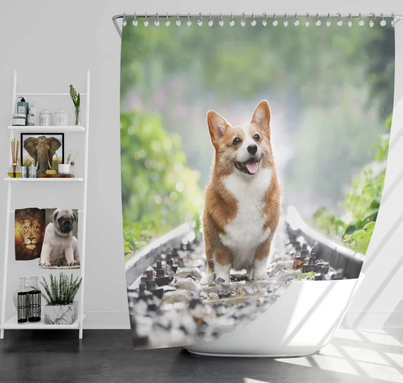 Depth of Field Corgi Quartet Shower Curtain