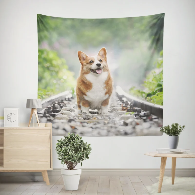 Depth of Field Corgi Quartet Wall Tapestry