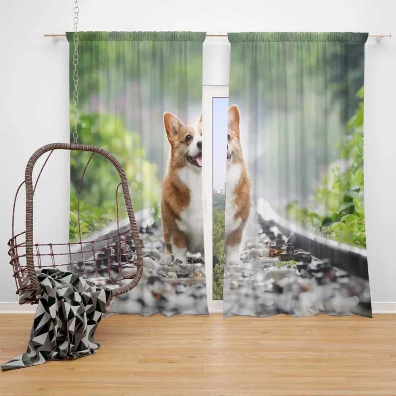 Depth of Field Corgi Quartet Window Curtain